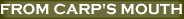 56carp.gif (1177 bytes)